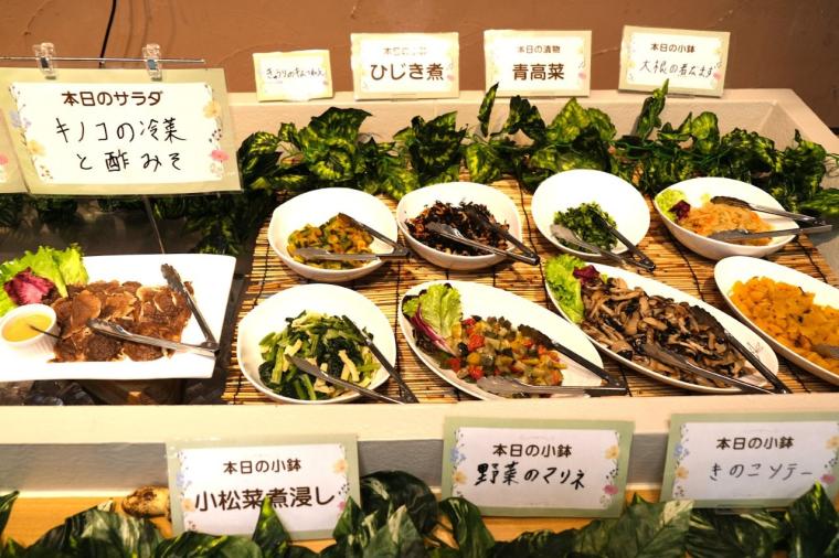 まるでおとぎの国！「阿蘇ファームランド」で心も体も元気になる体験型ステイ