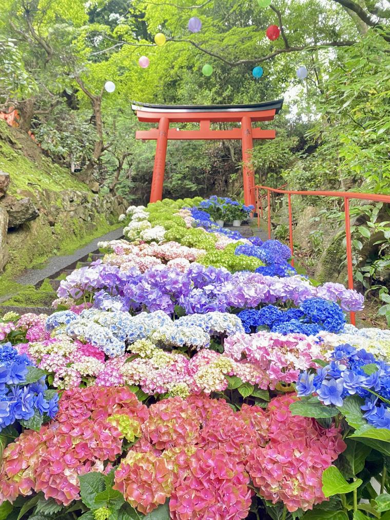 「柳谷観音 楊谷寺」花階段