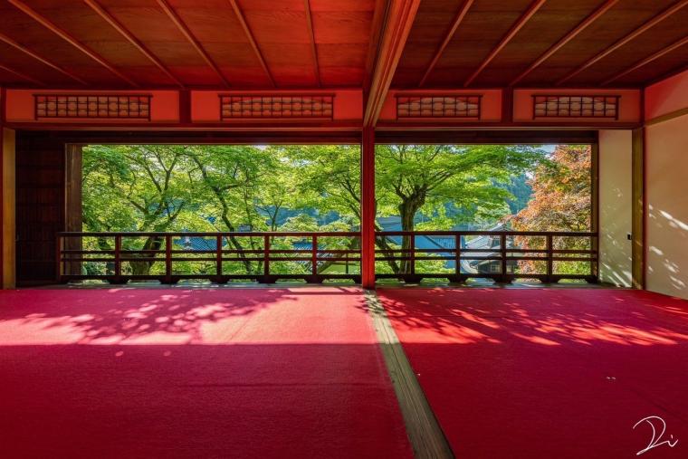 「柳谷観音 楊谷寺」上書院