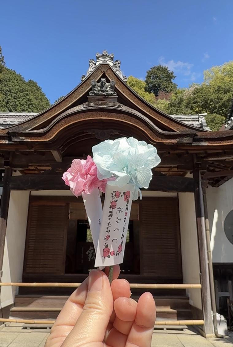 「柳谷観音 楊谷寺」花みくじ