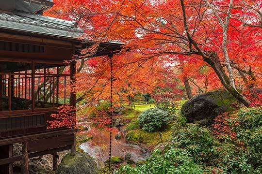 嵐山・宝厳院