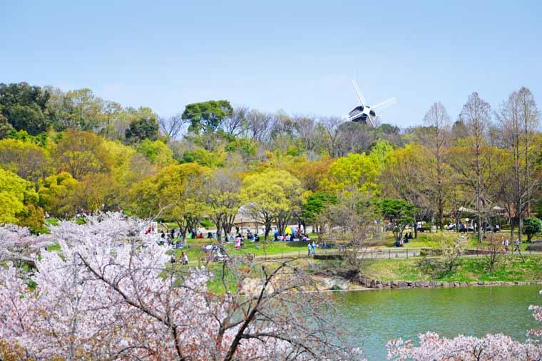 花博記念公園鶴見緑地の桜