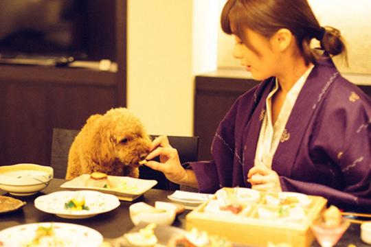 愛犬と泊まれる宿 D+KIRISHIMA