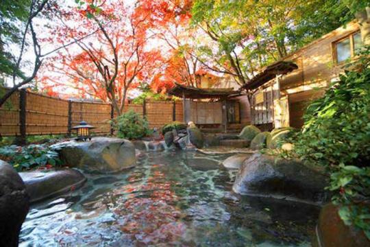 修善寺温泉　国の登録文化財の宿　新井旅館