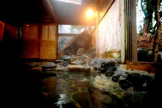 伊豆高原　癒しの薫りと美肌の湯　Ｄｏｇ　Ｐｅｎｓｉｏｎ　Ｒ６５
