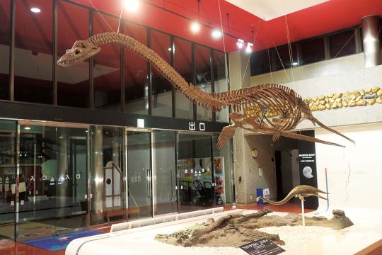 全国の恐竜博物館＆恐竜ホテル16選