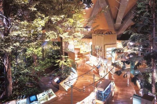 群馬県立自然史博物館
