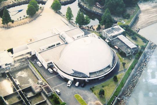 笠岡市立カブトガニ博物館