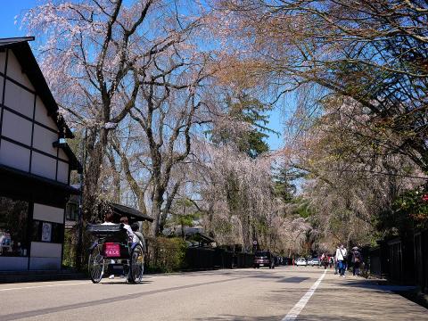 秋田県角館の武家屋敷通りを歩いてめぐる観光コース！四季の移ろいとともに楽しむ