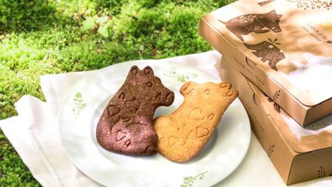 【2023】軽井沢のお土産13選！お菓子から、アウトレットで買える人気土産も