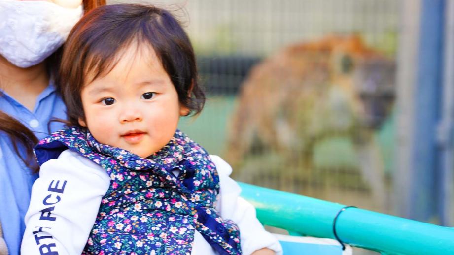 子どもの動物園デビューにおすすめ！子連れ動物園ランキングTOP10