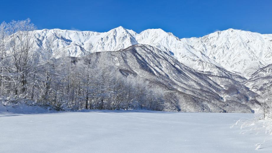 北アルプスを一望できる「白馬岩岳スノーフィールド」