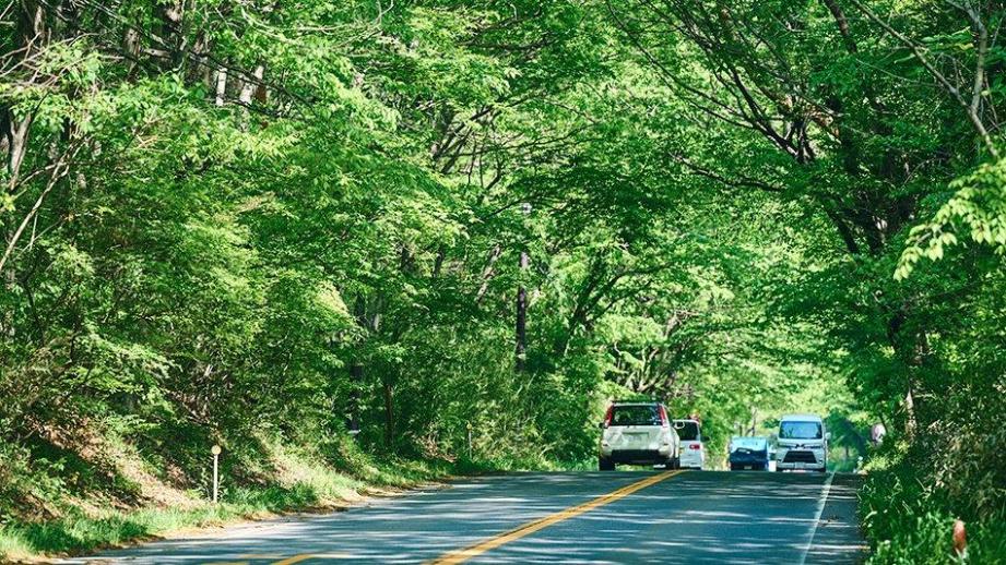 緑あふれる那須街道を遊びつくす！グルメとレトロに癒される日帰りドライブコース