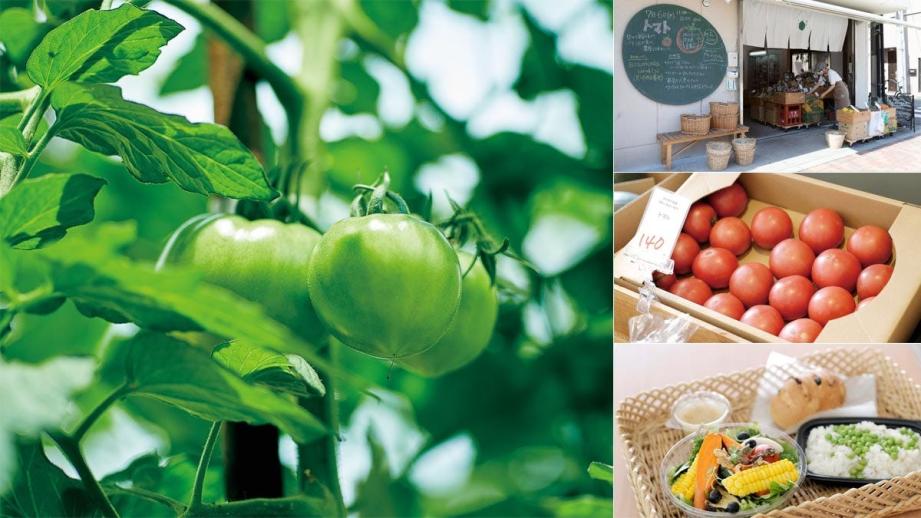 【清澄白河】地元想いの青果店「野菜のちから」店主が、全国の畑を訪ね歩くわけ