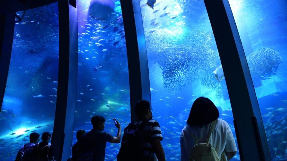 水族館・遊園地・グルメ・ショッピング「横浜・八景島シーパラダイス」を遊びつくそう！