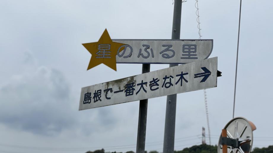 謎の看板に導かれて…「島根で一番大きな木」人生で一度は見るべきスポット勝手に認定！