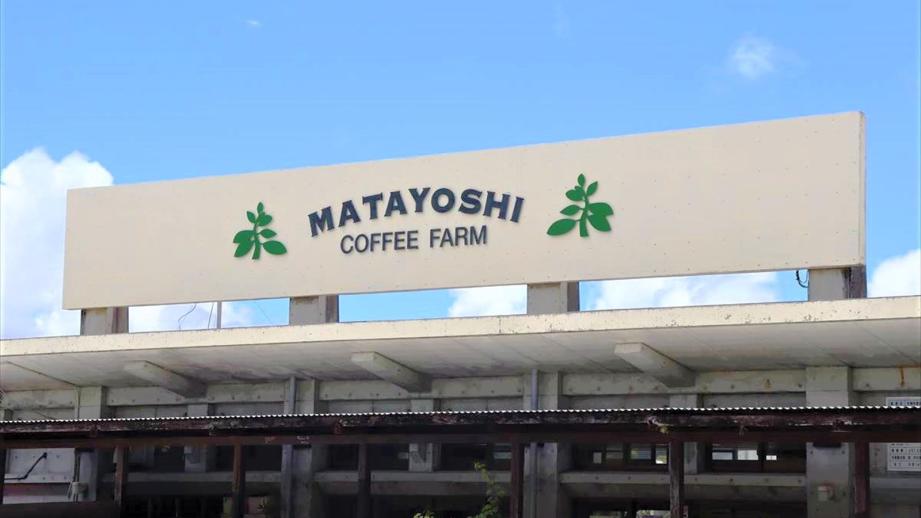 キャンプにジップラインなど非日常を体験！「又吉コーヒー園」 