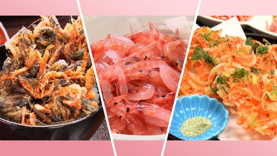 “駿河湾の宝石”サクラエビを食べたい!　迷ったらここへ 由比蒲原の名店3選 