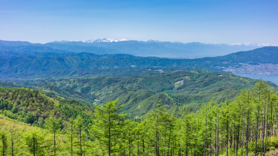 守屋山