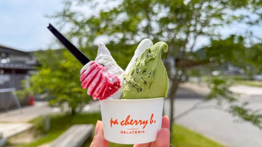 店主は元アナウンサー！鳥取の山間の町に誕生した行列のできるジェラート店