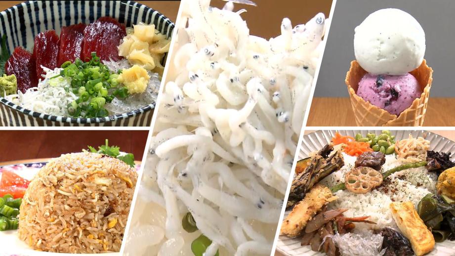 【静岡県静岡市】「用宗港グルメ」港直送！シラス料理5選 丼だけで終わらない タイ料理もスイーツもシラスたっぷり