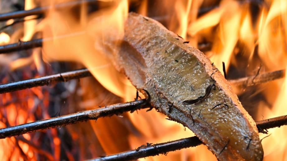 【高知】出来立ての絶品タタキ!!藁焼き体験もできる「黒潮工房」