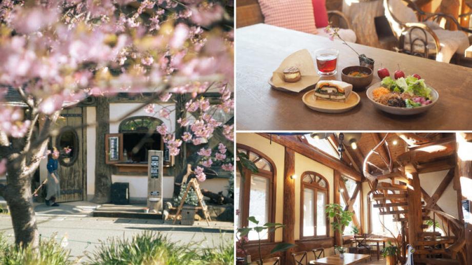 河津桜を眺めながら♪ 絵本の世界に迷い込んだようなログハウスカフェで特別なランチを「ホドホドBase」