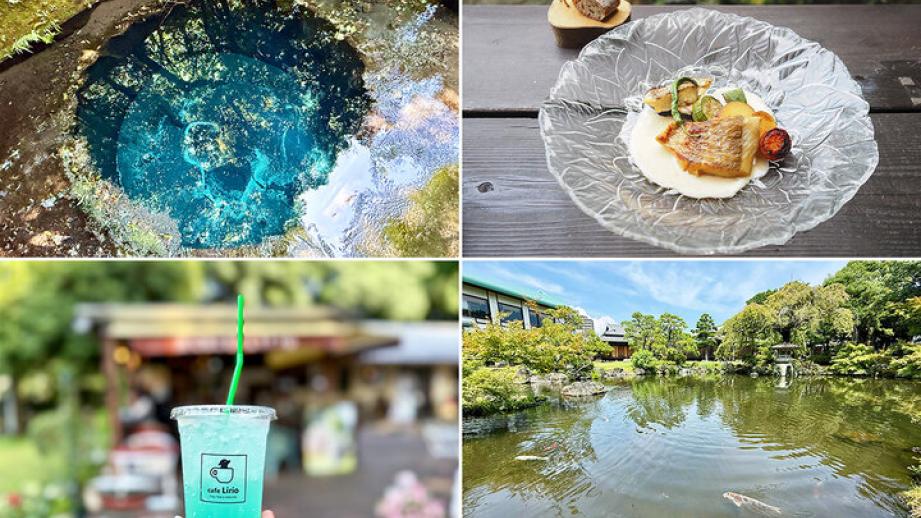 青く澄んだ“ブルーホール”に魅せられて♪ せせらぎの街「三島」周辺で水辺の絶景スポットをめぐるリフレッシュ旅