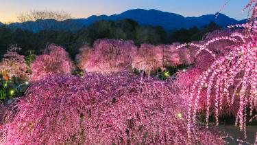 鈴鹿の森庭園
