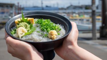 【静岡】新鮮生しらす、ジェラート、ビール、海風感じる温泉まで。東京から1時間で叶う港町・用宗の旅