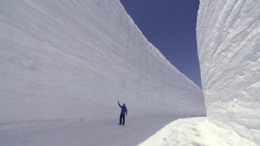 高さ 10m 超！【雪の大谷のヒミツ】世界でも希少な“雪の壁”はどうやって作る？