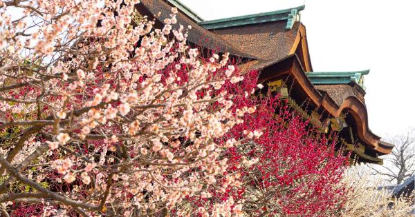 関西2月のお出かけスポット