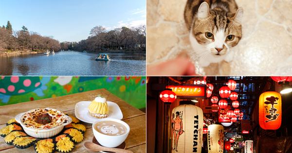 東京・吉祥寺女子旅1日モデルコース！井の頭恩賜公園やかわいいカフェ巡りへ