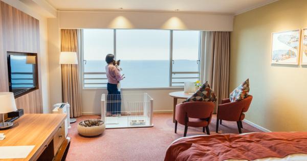 愛犬とも泊まれる絶景温泉リゾート！熱海「HOTEL ACAO」宿泊体験記