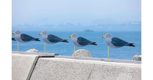女木島
