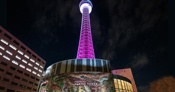 横浜マリンタワー