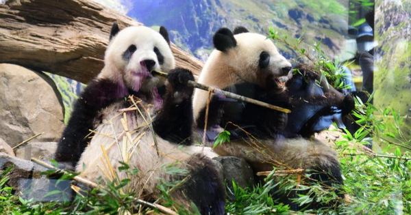 上野動物園