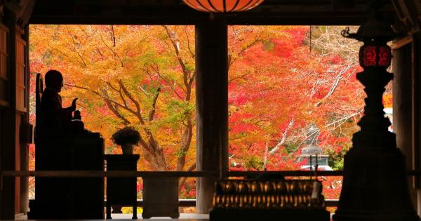 【2025年最新】奈良の紅葉名所おすすめ13選！見頃時期や穴場情報も！