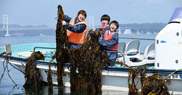 2～3月限定！徳島県鳴門のご当地体験プラン「本場！鳴門ワカメ収穫＆塩蔵体験」が話題に