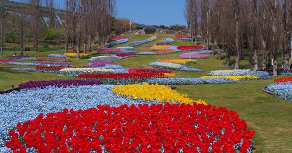 淡路花祭2024春