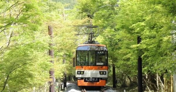 叡山電鉄　青もみじトンネル