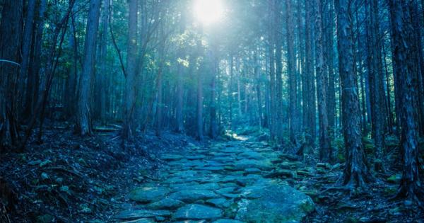 熊野古道