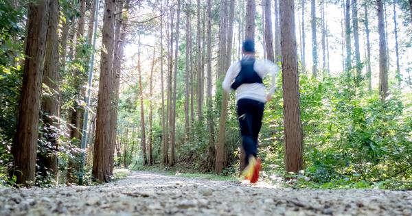 奈良斑鳩「門前宿 和空 法隆寺」に歴史と里山を巡る新感覚のトレイル宿泊プラン登場