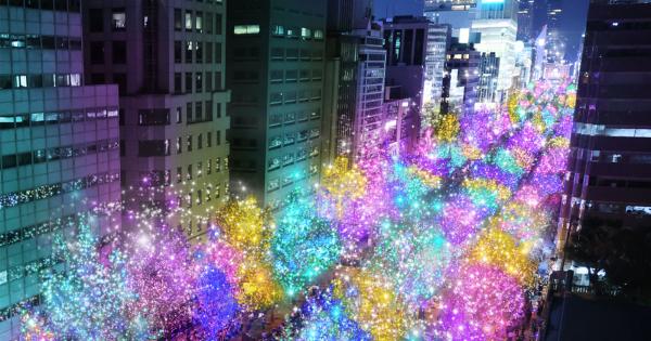 御堂筋イルミネーション2024