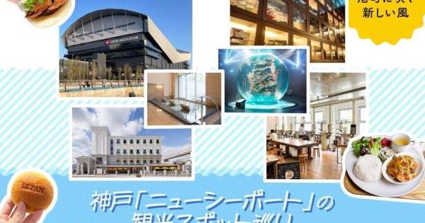 ニューシーポート