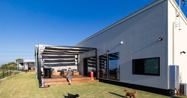 「Sunset Dog Village 淡路島」ドッグラン