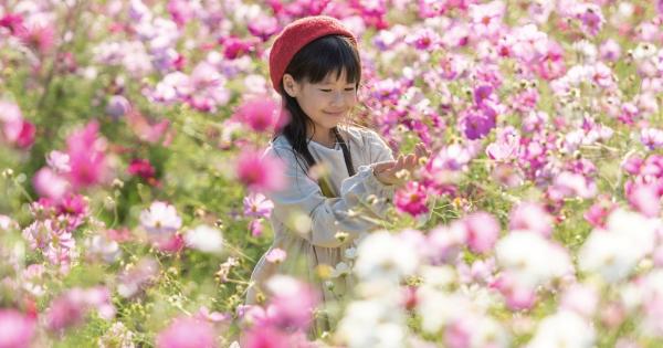 「国営讃岐まんのう公園」花龍の道