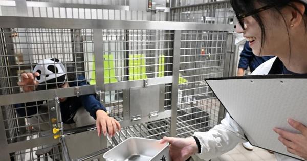 パンダの飼育スタッフになってみぃひん？ アドベンチャーワールドならではの新アトラクション誕生！