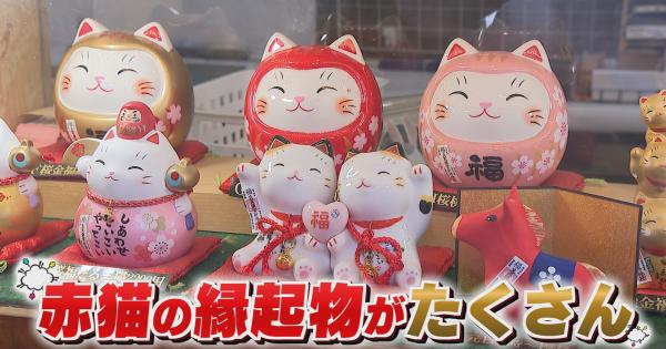「レア度 MAX 金色の招き猫」も 大分の個性派縁起物で運試し