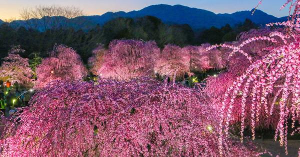 鈴鹿の森庭園